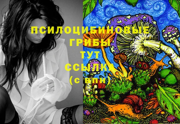дурь Армянск