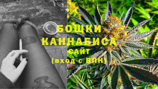 трава Арсеньев