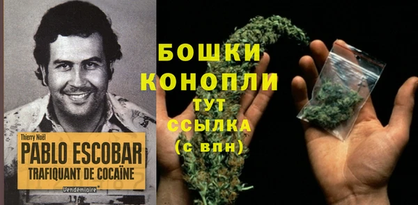 трава Арсеньев